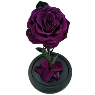 China Top quality eternity rose preserved rose forever rose in glass  rose gift for sale