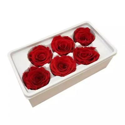 China preserved flower eternal rose preserved flower rose  natural preserved rose for sale