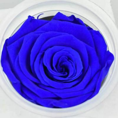 China Preserved Roses Flower 12 Roses in Round Gift Box for Wife or Girlfriend rose Preserved Flowers for sale