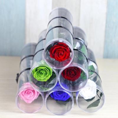 China Christmas New Year Gifts Single Rose Preserved Rose Flower Stem Box in PVC Cylinder Preserved Flowers for sale