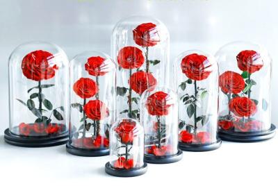 China Wholesale New Design Preserved flower  Eternal Rose in Glass Home Decoration for sale