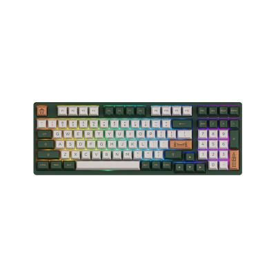 China Anti-ghosting Profession Laptop Portable Gaming Wireless Keyboard with RGB Illuminated and Silver TTC Backlit Speed ​​Switches for sale