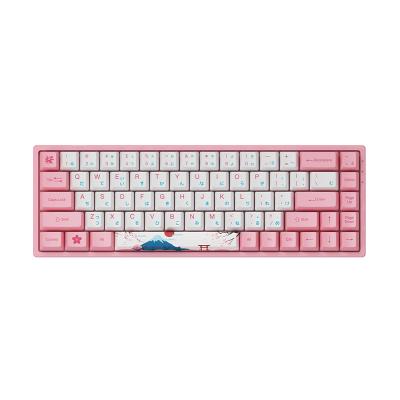 China Anti-Ghosting Backlit RGB 68 Keys Programmable Mechanical Keyboard With Dye-Under PBT OEM Profile Key Tops for sale