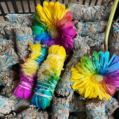 China Chinese Incense California's New Rainbow Daisy White Sage Wholesale Smudge Sticks Hummingbird Sage for sale