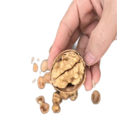 China Factory Sell Whole Dried Chinese Material Yunnan Raw Walnut And Full Walnut Kernel for sale