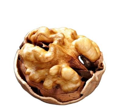 China Wholesale eco-friendly Carya Koch's Lo/illinoensis schiaccianoci/juglans regia L/walnuts for sale for sale