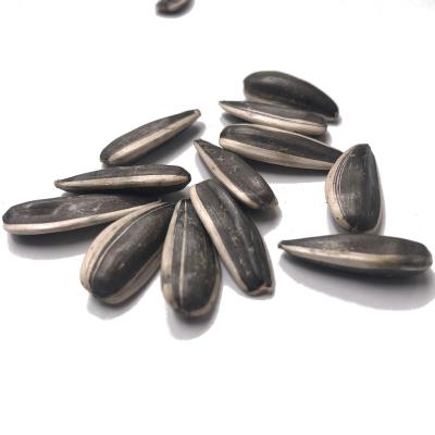 China Chinese Natural Black Sunflower Seeds Dry 363/361/601 for sale