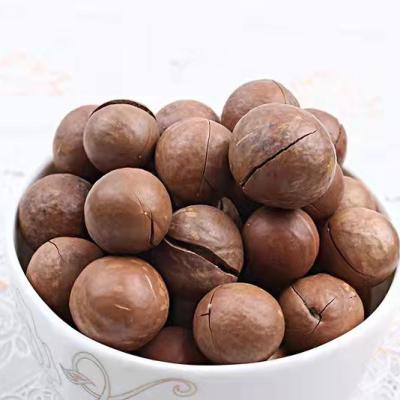 China Dry 2021 Hot Selling Delicious Hand-peeled Australian Hazelnuts Great Daily Nuts for sale