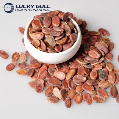 China Dried Freshed and Dried Red Dates Watermelons Seeds Free Sample 5kg Chinese Watermelon Seeds 2-3 Years CN Premium 