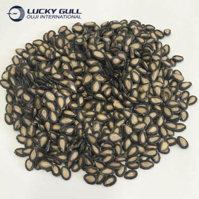 China New Dried Culture Best Price High Quality Black Watermelon Seeds for sale