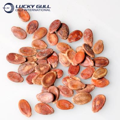 China Dry Raw Material Watermelon Seeds Xinjiang F1 Kernel Chinese Hybrid Red Melon Seeds 0.3%MAX 10-11cm 2 Years 7.5%Max Return 2019 99% for sale