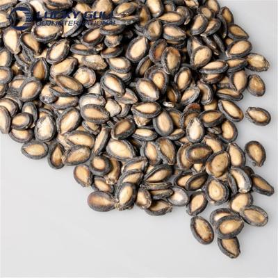 China New Dry Cultivation Best Price High Quality Black Densuke Watermelon Seeds for sale