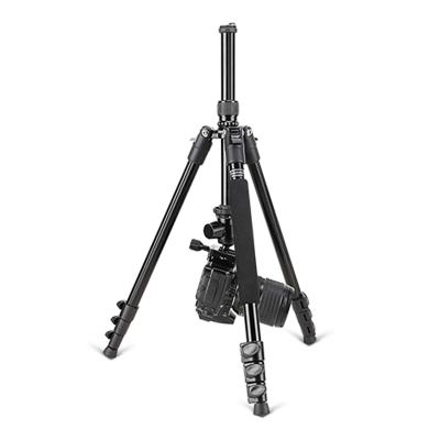 China ZOMEi Camera Tripod 161cm PORTABLE Lightweight DSLR Tripod With Ball Heads Case for sale