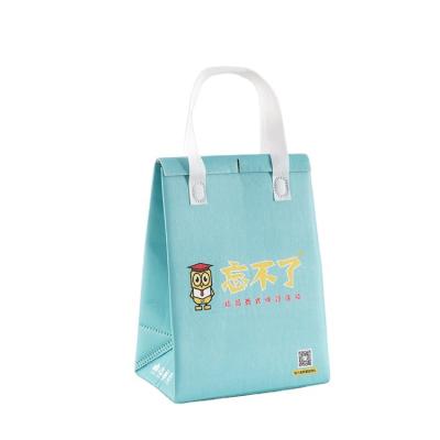 China Custom Logo Reusable Shopping Bag Picnic Lunch Bag Waterproof Insulated Non Woven Beer Cooler Bag for sale