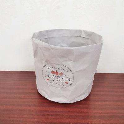 China Biodegradable Customizable Washable Multifunctional Bag Factory Brush Bucket Tyvek Cosmetic Paper Bag Storage Bag for sale