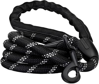 China Large Modern Improved Strong Nylon Braided Climbing Dog Rope Reflective Version Leather Leash for sale