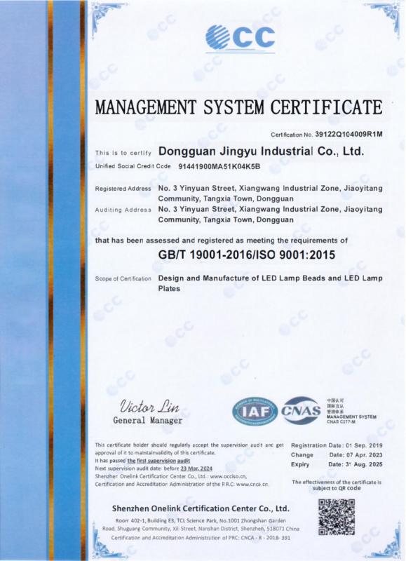 ISO 9001 - Dongguan Jinyu Industrial Co., Ltd.