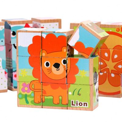 China Six-in-one cartoon toy the brain teaser new design children's intelligence developing educational toys factory sale colorful wooden wood for sale