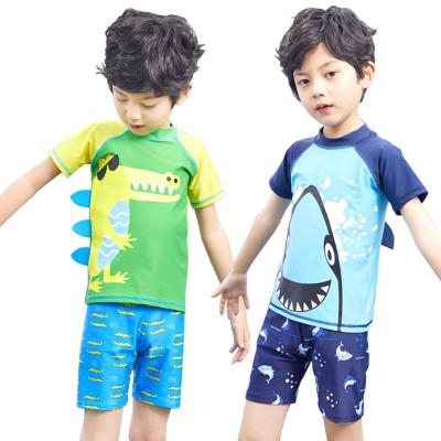 China High quality fashion QUICK DRY three piece short sleeved shark look wholesales summer toddler swimwear for boys for sale