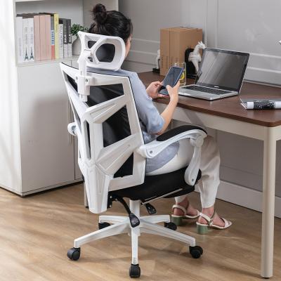 China (Size) 2023 Hot Sale Office Furniture Executive Chair Specification Ergonomic Rotation Chair Adjustable for sale