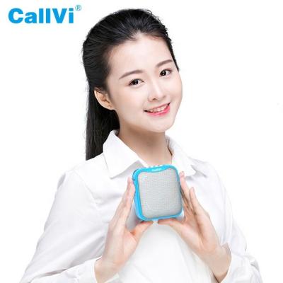 China Sales Promotion Callvi V-311 Teaching Outdoor Entertainment Wired Voice Amplifier Portable Recording FM Radio MIC High Fidelity Mp3 Player for sale