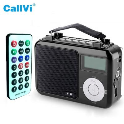 China Sunglasses CallVi V-15 Digital MIC FM Portable MP3 Player Wired Radio Voice Amplifier for sale