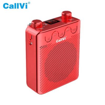 China ABS Plastic Material CallVi V-520 Portable Amplificador Audio With Microphone Amplifier Cable Speaker for sale