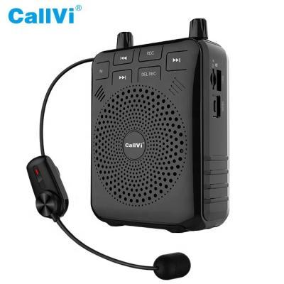 China 40-50m Callvi U-220 Portable Wireless Blue Tooth Voice Amplifier With FM Radio / Echo Function for sale