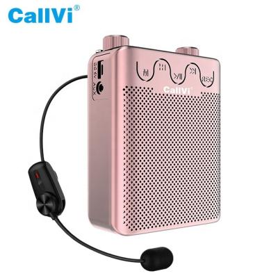 China CallVi V-807 Mini Plastic Material Radio Built-in Wireless Microphone ABS Rechargeable Speaker Fm Audio Amplifier for sale