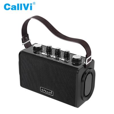 China Classroom Callvi V-832 PA Voice Karaoke Amplifier 60w Wireless Guitar Amplifier for sale