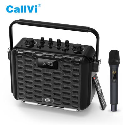 China Portable Classroom Callvi V-1616 Karaoke Speaker Guitar Amplifier with Wireless Microphone for sale