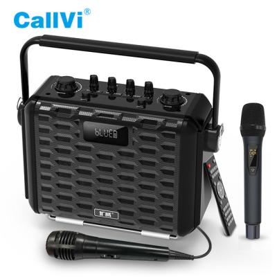 China Classroom Callvi V-1616 PA Portable Karaoke Speaker guitar amplifier wireless microphone amplifier for sale