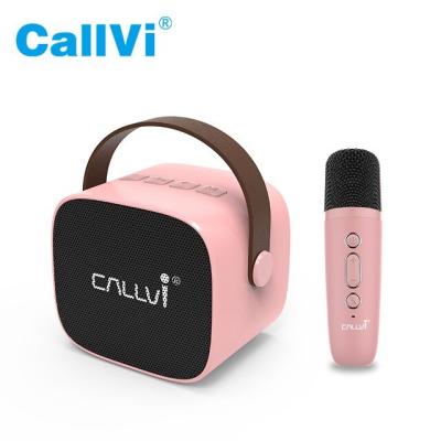 China Callvi W2 Portable Mini BT Classroom Karaoke Speaker Music Player Amplifier with Wireless Handheld Microphone for sale