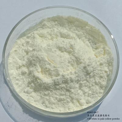 China CAS Number 41663-84-7 N-Methyl-4-Nitrophthalimide 2-Methyl-5-Nitro-1H-Isoindole-1 3 2H Dione for sale