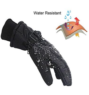 China Resistance + Windproof Heat + Cold China Popular and Practical Waterproof Gloves Work Gloves Mechanic Long Gloves for sale