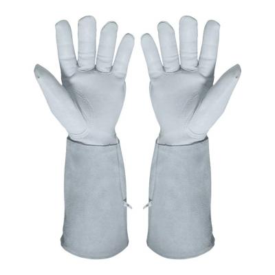 China White Ladies Palm Smash Proof Long Leather Farm Lifting Garden Protective Work Gloves for sale