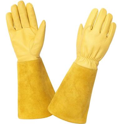 China Yellow Palm Swipe-Proof Ladies Long Leather Trim Garden Protective Work Gloves Smash-Resistant Garden Trim for sale