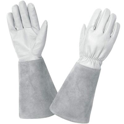 China New Design Palm Proof Leather Welding Gloves Tig Gloves Heat Protection Gloves for sale