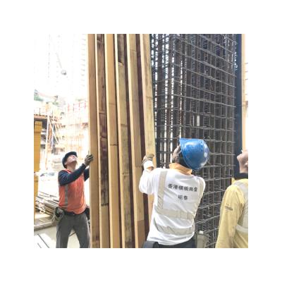 China Wholesale Easily Assembled Formwork Peri Panels Scaffolding Plywood Formwork System for sale