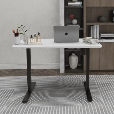 China New Trend Adjustable Height Electric Ergonomic Sit Stand Computer Desk Table Healthy (Height) Adjustable for sale