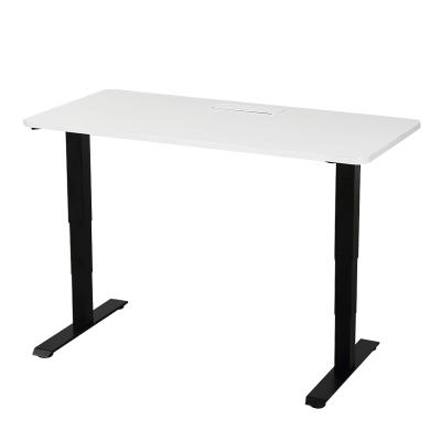 China Modern Sit Stand Desk Computer Height Adjustment Mechanism Lifting By Electric Motors Electric Computer Stand Up Desk Lift Desk for sale