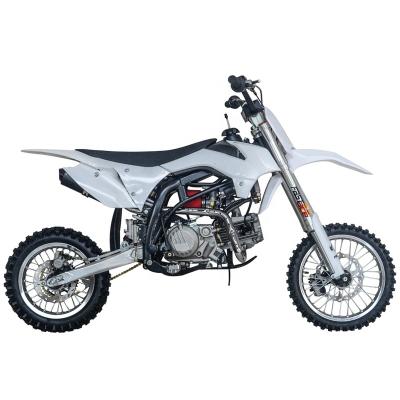 China Superior Performance Daytona 190cc Pit Bike DB11-C for sale