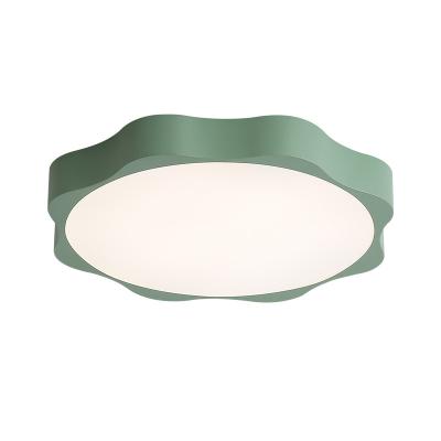 China Ultra_thin Iron Led Ceiling Smart Lamp Outdoor Mount Children 6 Colors 2.4G for sale