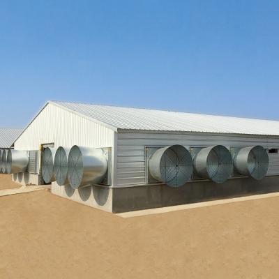 China Set-Up Controlled Steel Poultry Warehouse for Gymnasium and Environmentally Friendly for sale