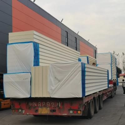 China Modern PU Coldroom Panel for Freezing of Fruits and Vegetables in Warehouse Storage for sale