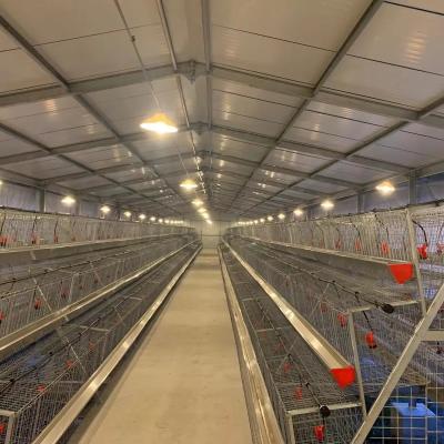 China Comercial huevo diseño de la casa del pollo almacén industrial para capas venta de granja avícola en venta