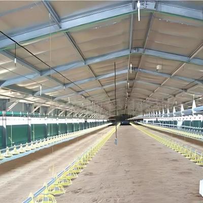 China Automated Chicken House and Animal Shed for Poultry Farming in Steel Structure Warehouse for sale