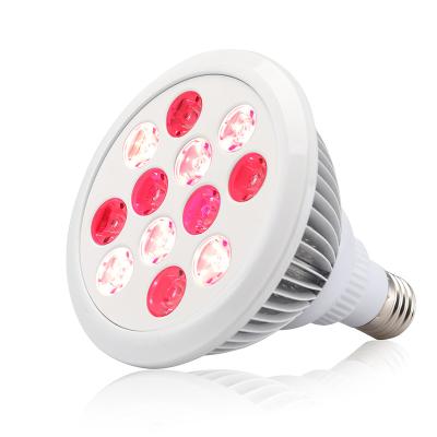 China Facial Pain Relief LED OEM Collagen TOLD ME Spa Equipment Mini Near Infrared Light Therapy 36W Light Red LED Par 660nm 850nm for sale