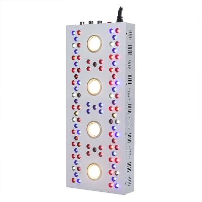 China Hydroponic grow tower led par to grow light full spectrum cob max advance led to grow iron light led lamp to grow lights for medical plantings greenhouse for sale