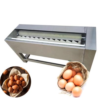 China High quality automatic hot egg cleaner machine small brush washing machine vegetable processing factory sale egg washing machine for sale